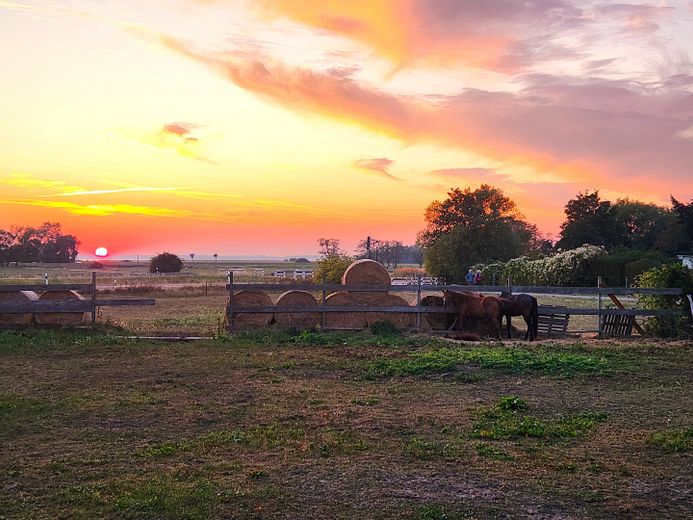Gartenblick & Sonnenuntergang