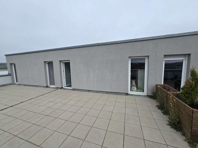 Kırsal alanın kenarında modern, yeni gibi müstakil sıra ev – Dachterrasse