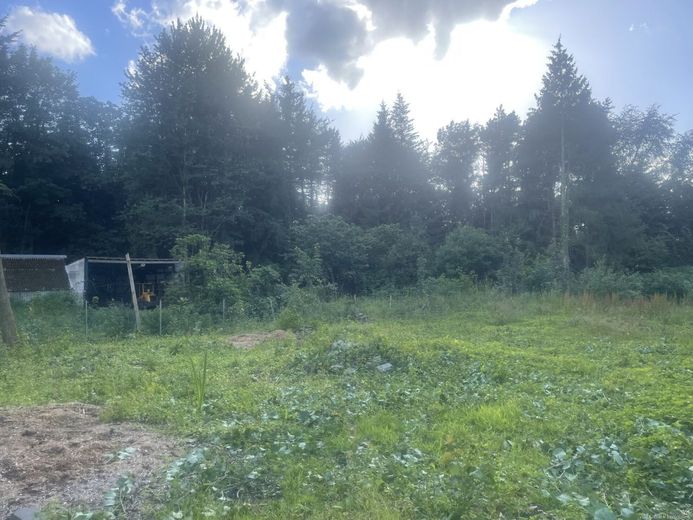 Investoren aufgepasst: Exklusive Kapitalanlage in Quickborn -MFH mit 4.386 m² Grundstück – Hinteres Grundstück Schuppen