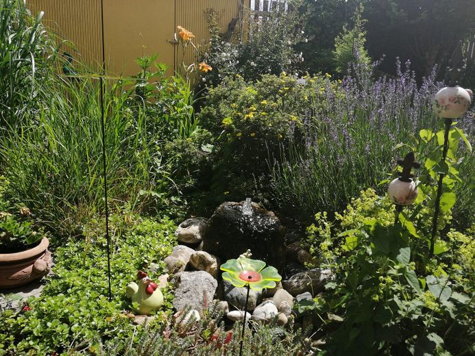 Einziehen statt renovieren – laufend modernisiertes Reihenhaus in Top-Zustand/ kein Makler – Foto 3