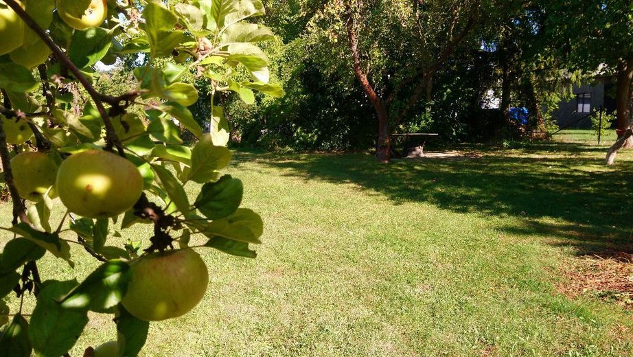 Haus am See - Wohnen wo andere Urlaub machen – Foto 12
