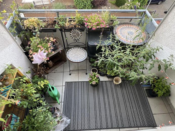 شقة فسيحة من 4 غرف بارتفاع سقف يزيد على 3 م، وشرفتين وموقفي سيارات – Balkon Küche