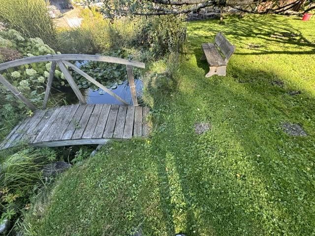 Wohnen am Rande des Naturschutzgebiets - ein Traum für Kinder und die ganze Familie – Brücke,  Wasserlauf und Teich