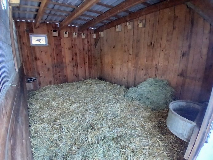 Box 3,60 x 5 m