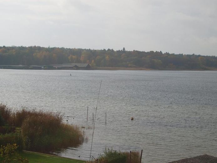 Seitlicher Müritzblick