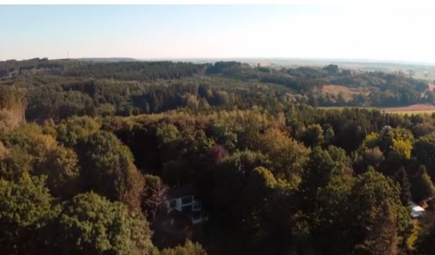 Esclusiva casa unifamiliare KfW-40 in tranquilla posizione a pendio esposto a sud – di alta qualità ed efficiente dal punto di vista energetico – Foto 37