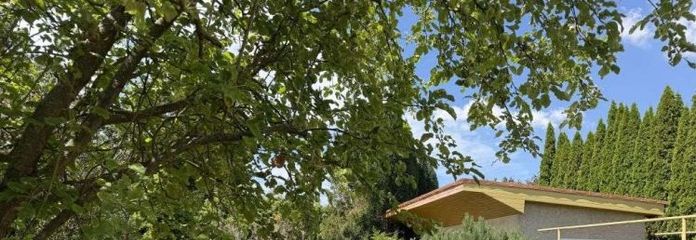 Altglienicke - Splendido terreno soleggiato in posizione privilegiata