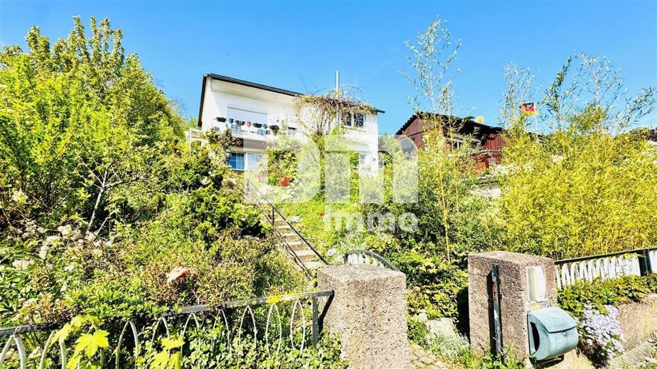 Umfangreich saniertes EFH inkl. PV-Anlage, Terrasse, Wintergarten und Garage – Zugang Wohnhaus / Treppenaufgang