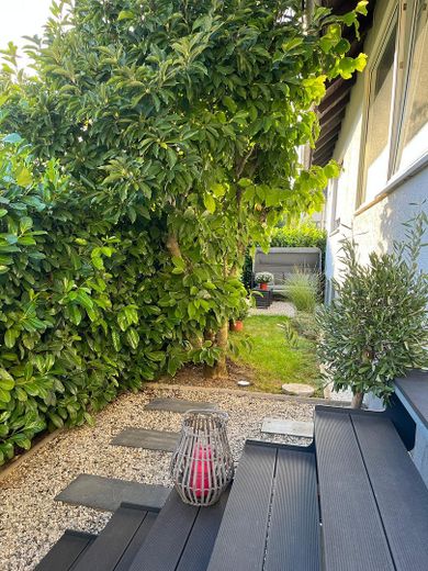 Garten 1