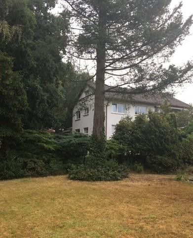 Großes Mehrfamilienhaus mit 5 Wohneinheiten - EG komplett barrierefrei – Foto 1