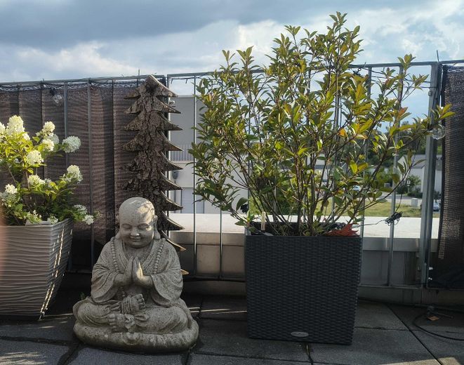 **Traumhafte Penthouse-Wohnung * Exklusiv, außergewöhnlich, hochwertig** – 20Dachterrasse