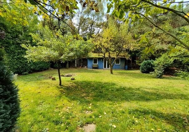 Garten mit Gartenhütte