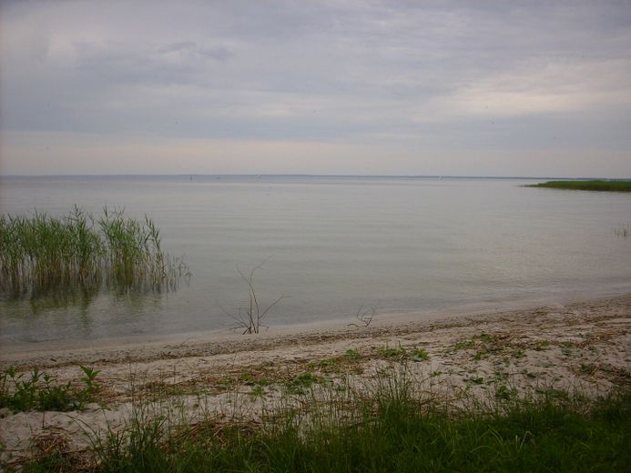 Grundstück an der Müritz – Badestrand