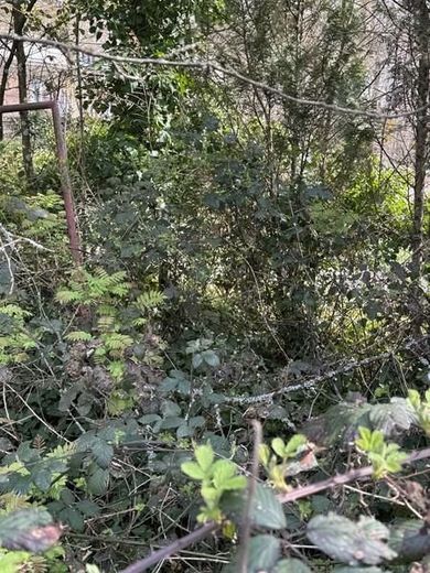 Beste Wohnlage - ruhig mitten im Wald und doch Großstadtnah - hier kann man sich ein Heim bauen! – 00002