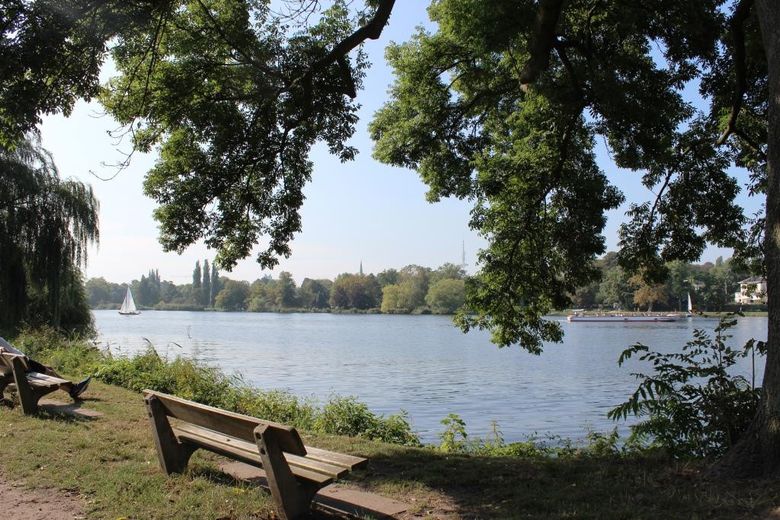 Das Wasser plätschert  vor der Tür  -  Enten, Schwäne schwimmen im Goldbekkanal - Wasserblick! – Foto 6