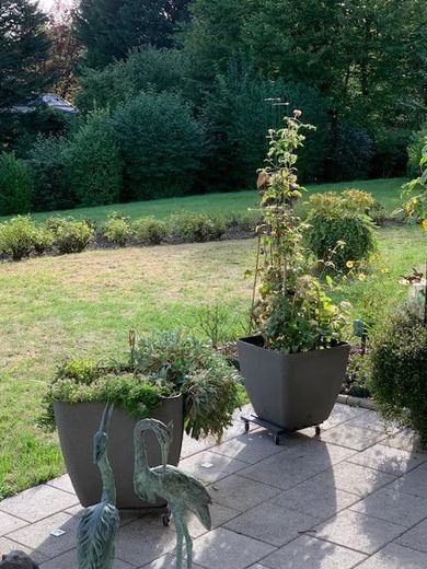 Красива безбар’єрна квартира з терасою – Garten
