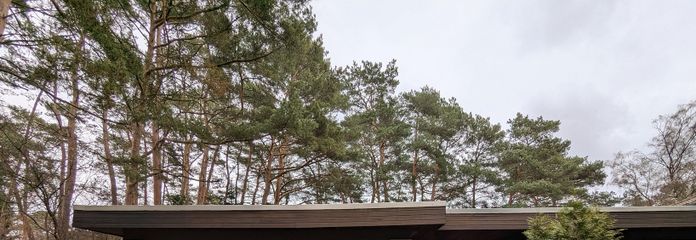 Famielienfreundlicher Bungalow, Zentrumsnah mit guter Verkehrsanbindung – Straßenfront