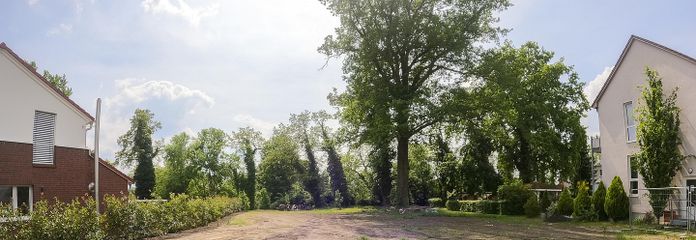 1319 qm Baugrundstück - auch Doppelhaus/MFH möglich - Berliner Umland – Aufnahme von Straßenseite