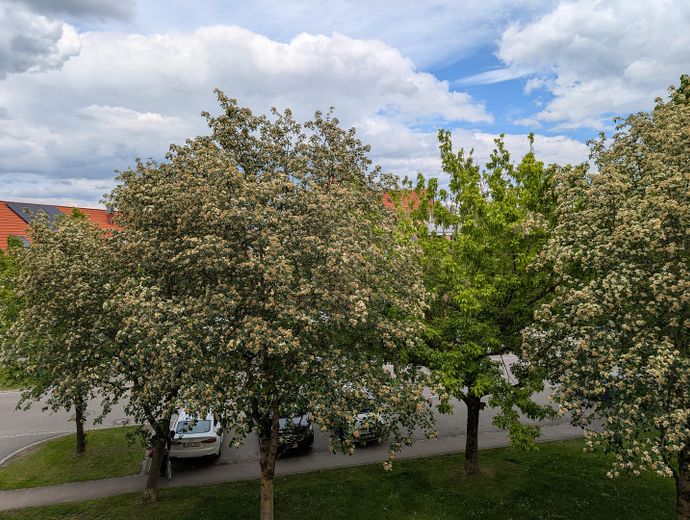 Blick: Schlafzimmer