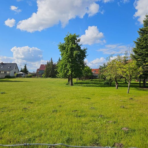 Hofanlage mit Wohnhaus, Scheune & ca. 5.000 m² Land – provisionsfrei – Hofansicht Haus/Scheune
