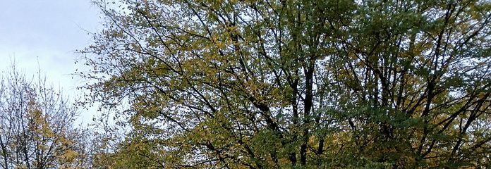 Aussicht von der Loggia