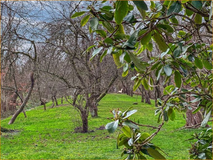 Obstgarten