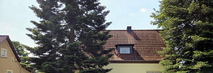 Zwei Wohnhäuser auf einem Grundstück - viel Platz für Familie, Vermietung oder eigenes Büro