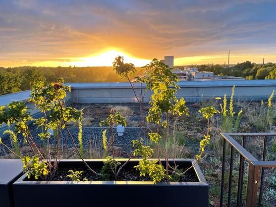 Penthousewohnung mit Wasserblick – Abendblick - Dachterrasse