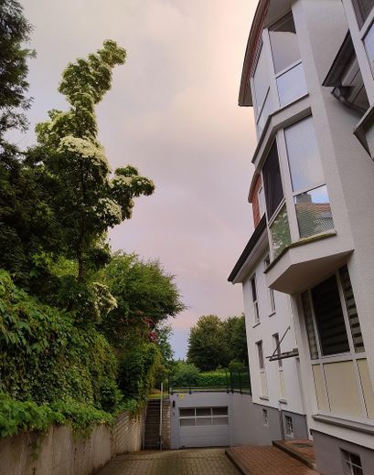 Charmante 3-Zi.- Maisonettewhg, TG-Stellplatz ,Garten, Balkon in grüner Lage von Hamburg Meiendorg – Wohnobjekt/ Eingang 1 & 2