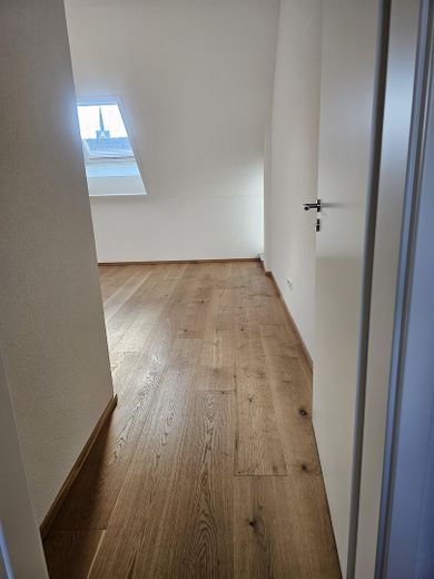 Zimmer 1.1