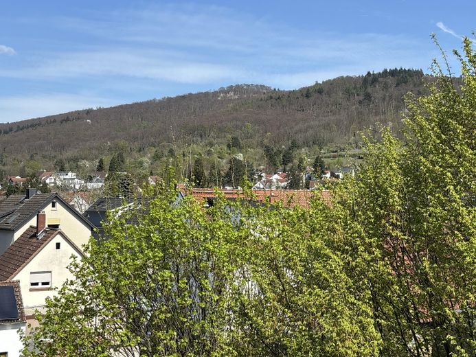 Ausblick