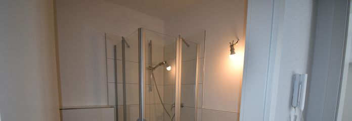 1-room apartment with kitchenette in Schöppenstedt – Badezimmer mit Dusche