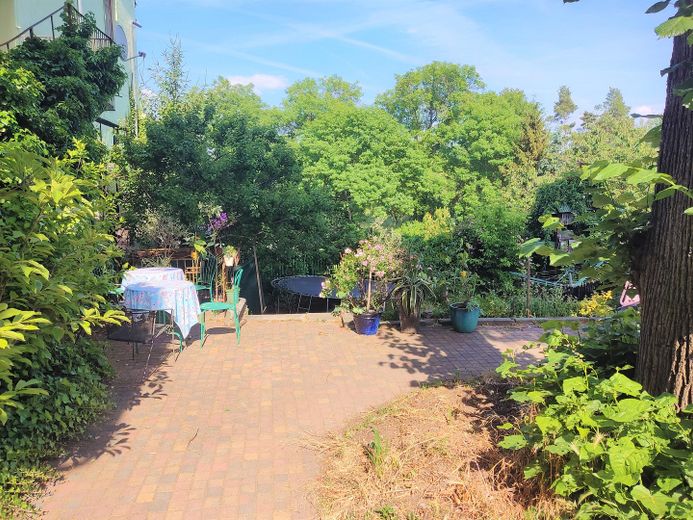 hinterer Garten