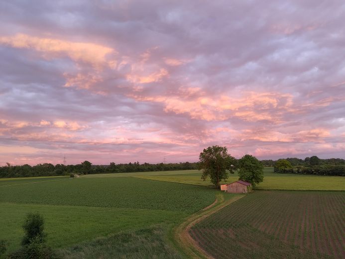 Außblick Wohnzimmer