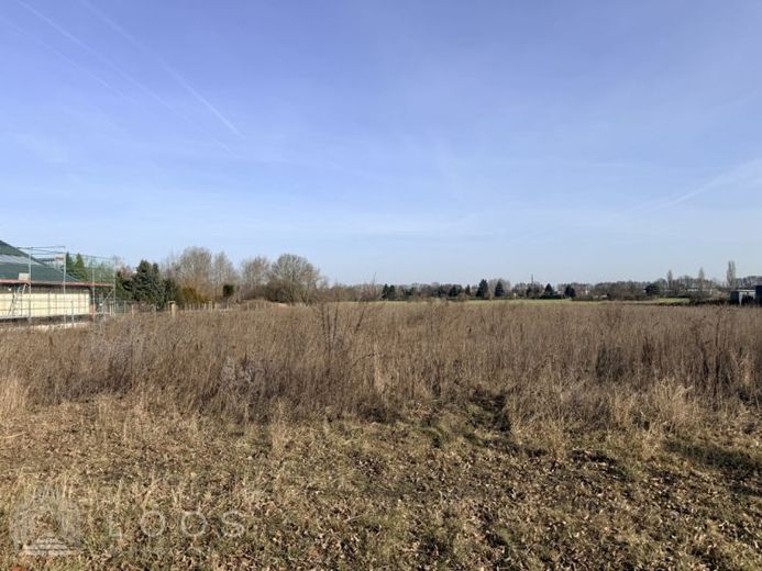 Sin comisión: terreno edificable de 2.482 m² totalmente urbanizado en Finsterwalde – Foto 1