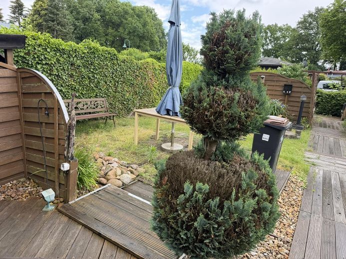 Garten/Terasse