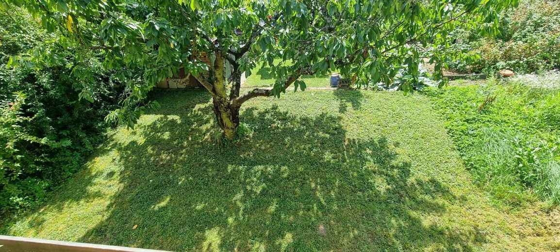 Garten_3