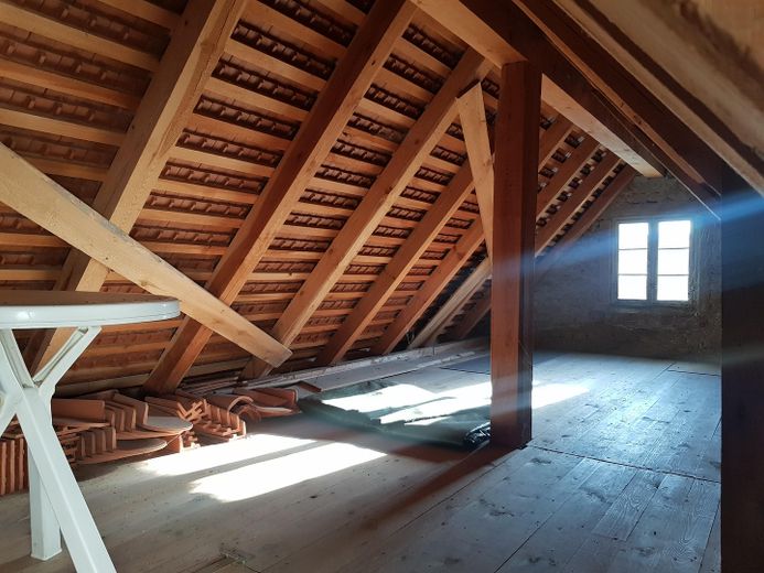 Reduzierter Preis u. provisionsfrei : Charaktervolles Einfamilienhaus im Grünen mit Dachterrasse – Stauraum über Garage