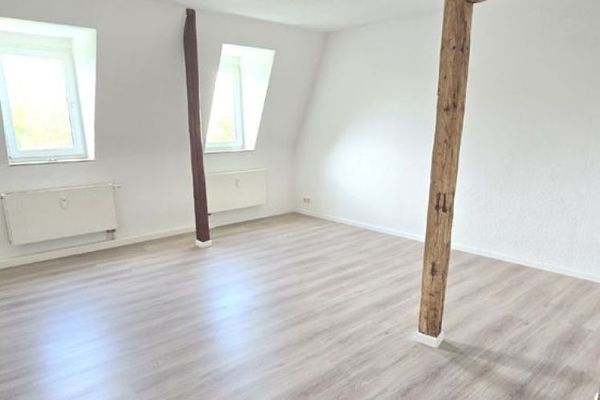 !! Begehrte neu hergerichtete 1,2 + weite 2,5-Zi.-Wohnung in zentraler Lage von Döbeln !!