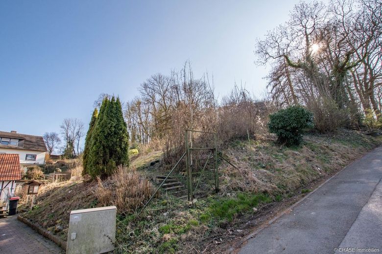 Einzigartiges Baugrundstück mit traumhaftem Weitblick in Hanglage Lauensteins - Bautraum in Idylle! – Bodenansicht - Straßenseite