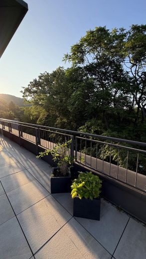 Ren ve Siebengebirge arasında penthouse – Fotoğraf 10