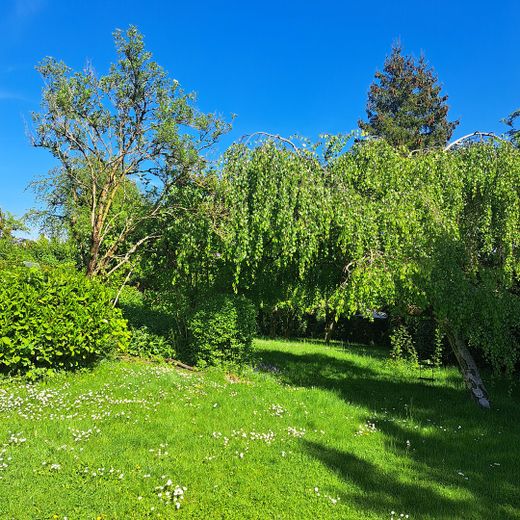 Uneinsehbarer Garten