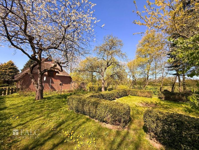 Ein Reetdachhaus wie aus dem Märchen - umgeben von Natur, Geschichte und Seele. – Außenansicht Garten Bild 3