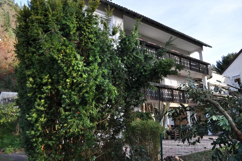 6,7%+ Rendite | Mehrfamilienhaus (9 Eigentumswohnungen) | Burgpanorama in Bad Liebenzell – Ansicht aus Garten