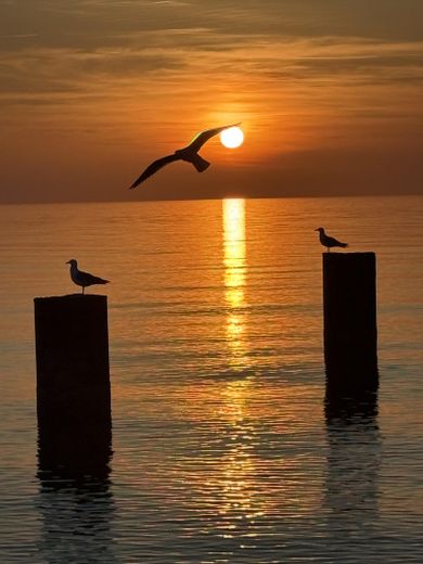 Baugrundstück im Ostseebad Rerik – Foto 9
