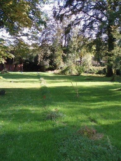 Park