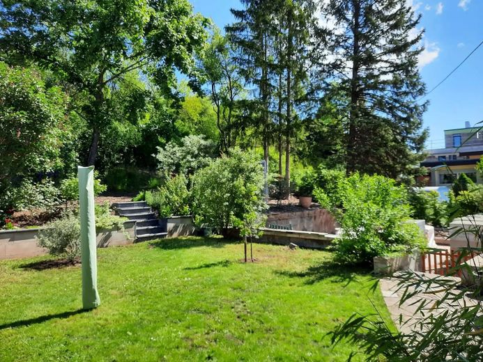 Blick in den Garten
