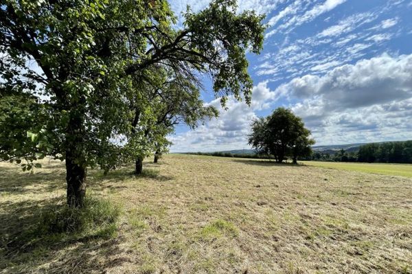 Fröndenberg/Ruhr: Jedna z najpiękniejszych działek w mieście!