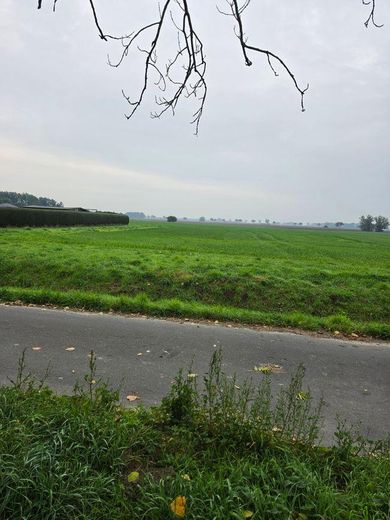 1.298 m² Baugrundstück auf Rügen mit positiver Bauvoranfrage! – Blick zur Strasse