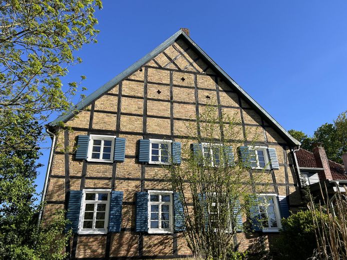Blick aus dem Garten